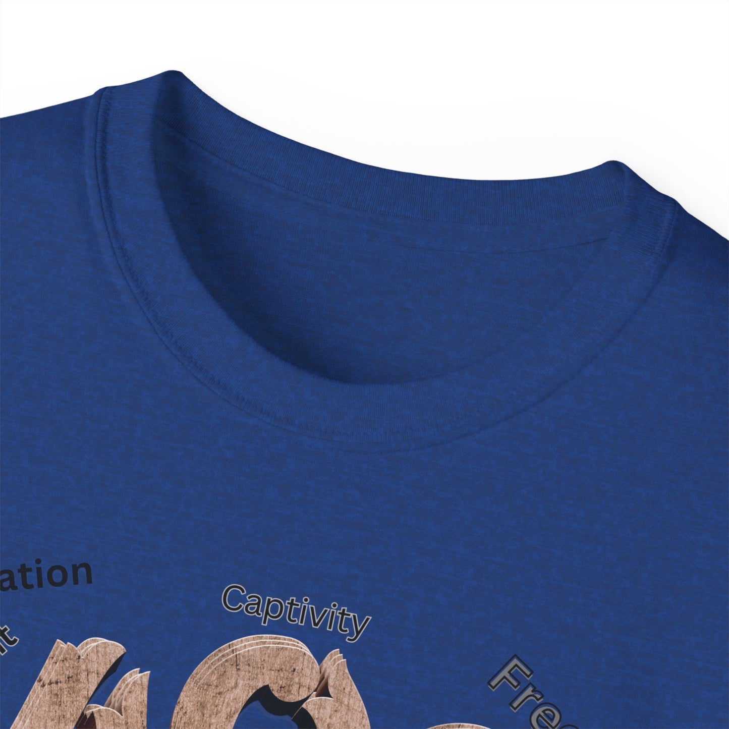 Black History Month Shirt, Melanin Shirts, Black Panther Tees, Black Culture Sweatshirts, Black Pride Shirts, T-Shirts for Black Women & Men