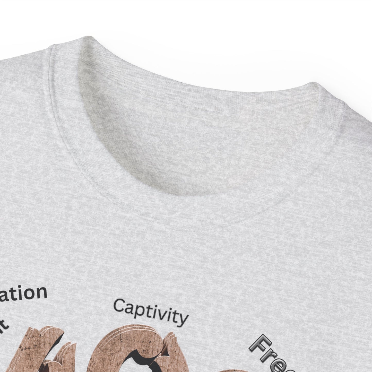 Black History Month Shirt, Melanin Shirts, Black Panther Tees, Black Culture Sweatshirts, Black Pride Shirts, T-Shirts for Black Women & Men