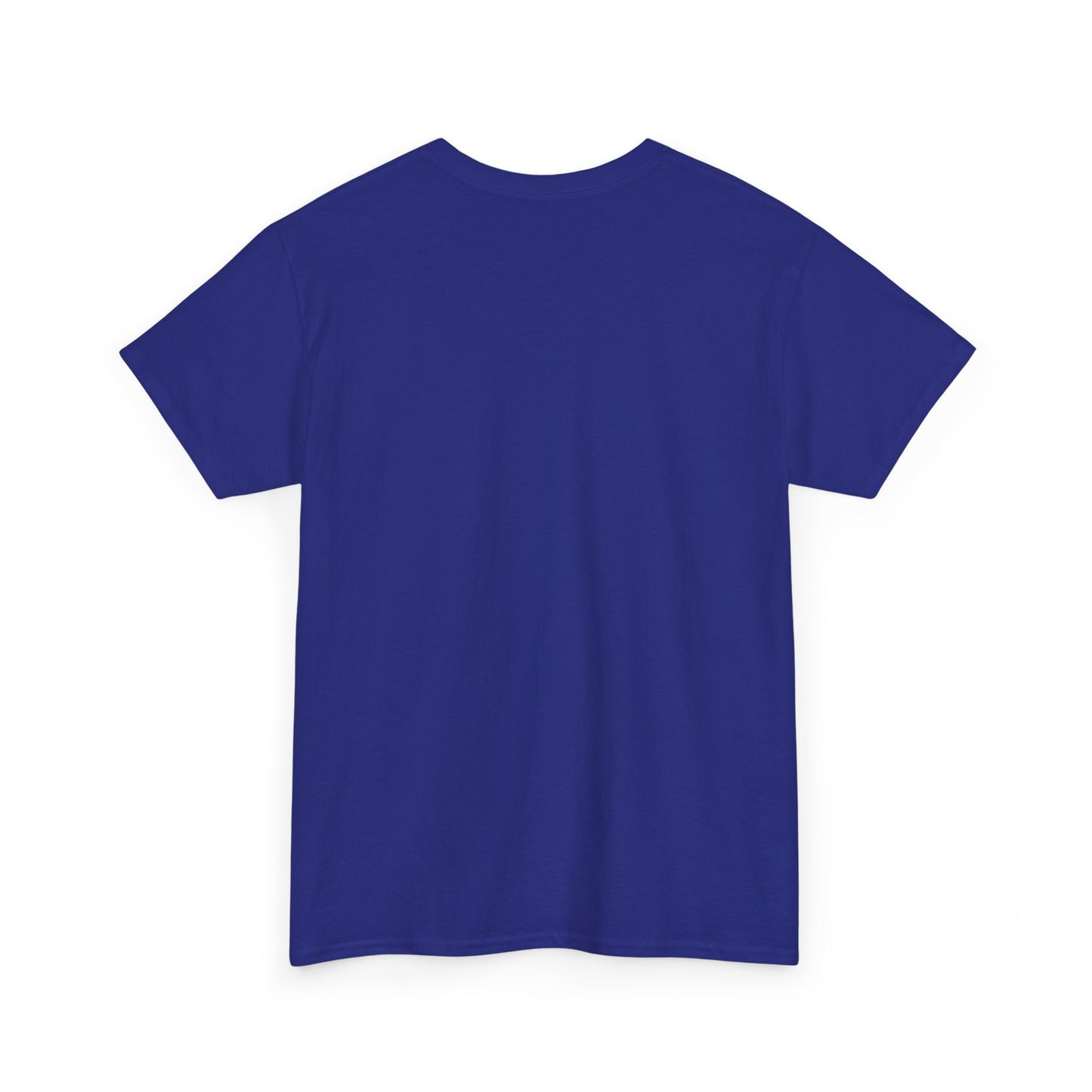 Religious T-Shirt, Inspirational Shirts, Christian Apparel, Jesus T-Shirt, Christian T-Shirt, Unisex Cotton Tee Express Delivery available