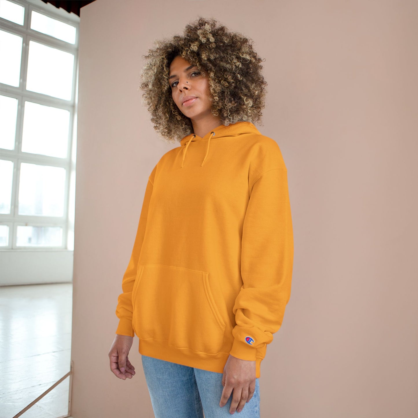 400 Years: Will It Ever End? Unisex Champion Hoodie, Black History Month, CRT, History Can't Be Erased,