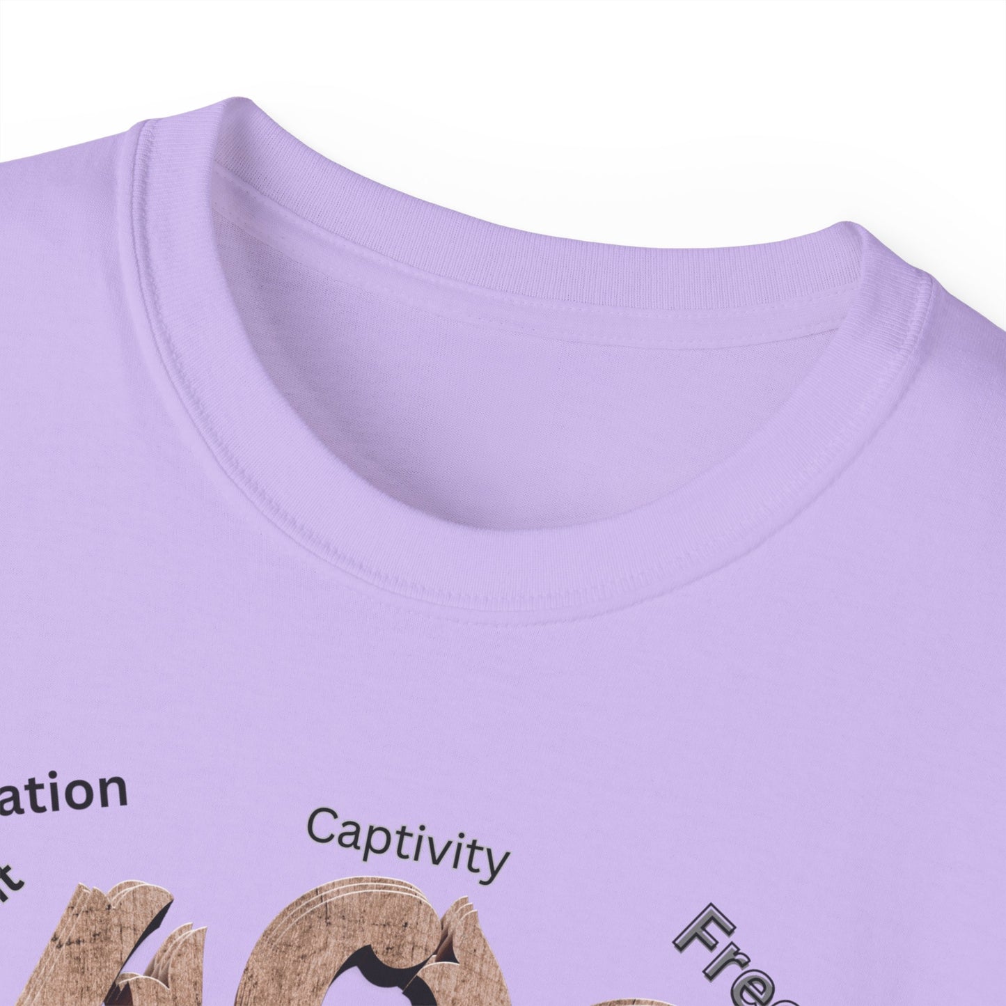 Black History Month Shirt, Melanin Shirts, Black Panther Tees, Black Culture Sweatshirts, Black Pride Shirts, T-Shirts for Black Women & Men