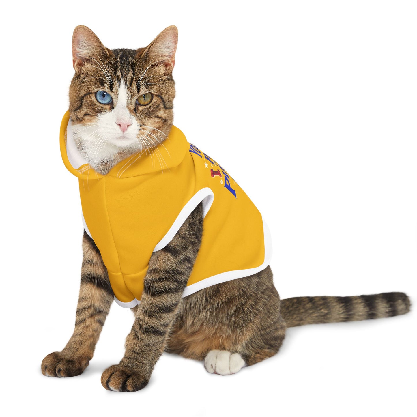Funny Pet Hoodie: 'You Will Find Me Chasing Pussy Cat' Design, Dog and Cat Apparel, Cute Pet Costume, Gift for Pet Lovers, Funny Pet Outfit