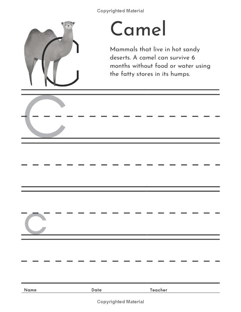 Primary Writing Composition for K-3rd Grades: Practice Writing, Tracing, Coloring, Letters and Numbers