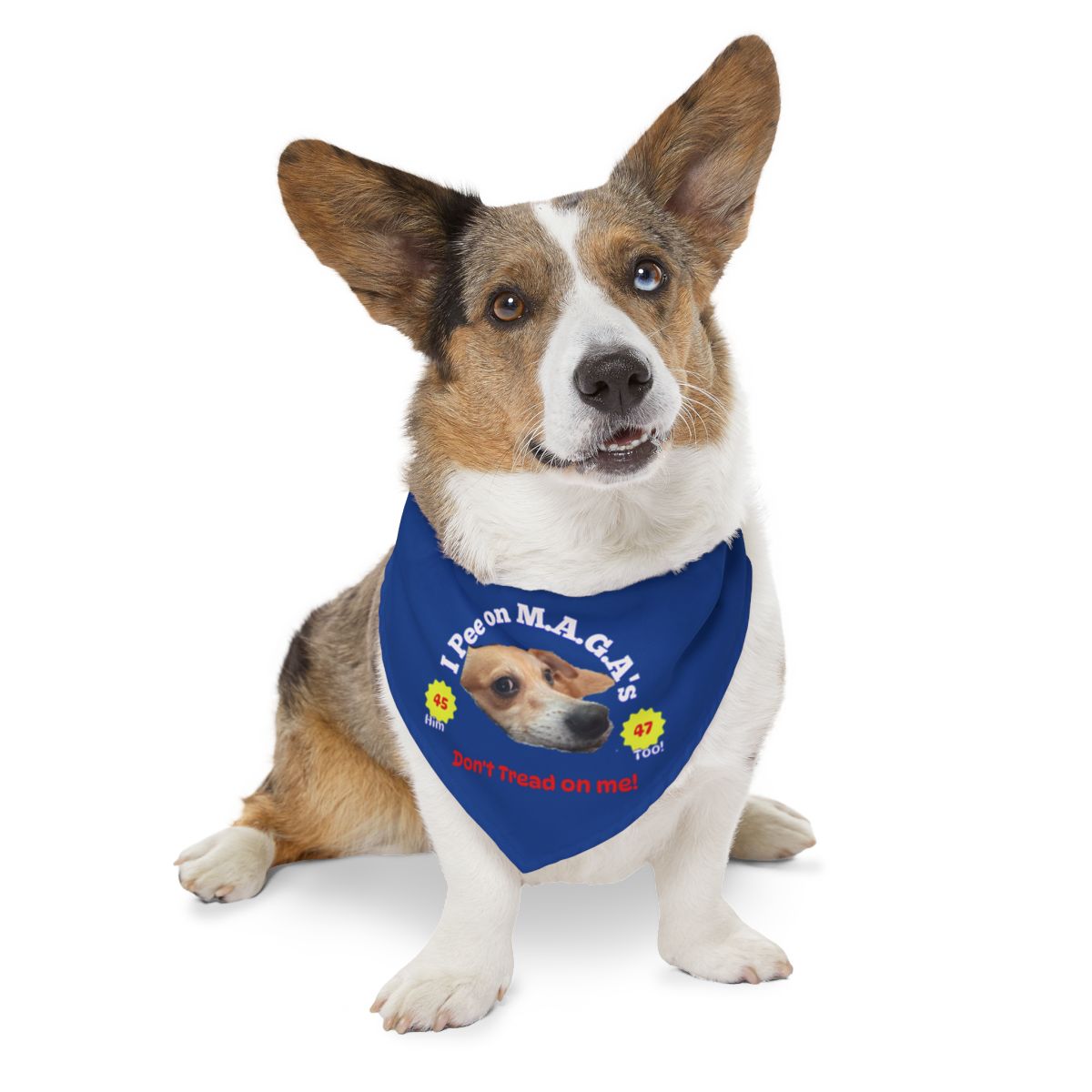 Pet Supplies