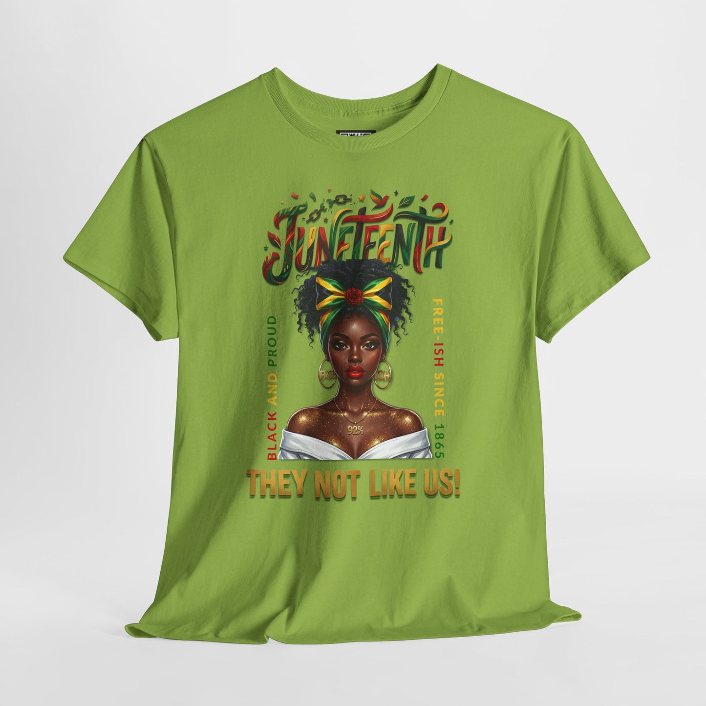 Juneteenth Celebration Tee — "They Not Like Us" Black History Graphic Shirt