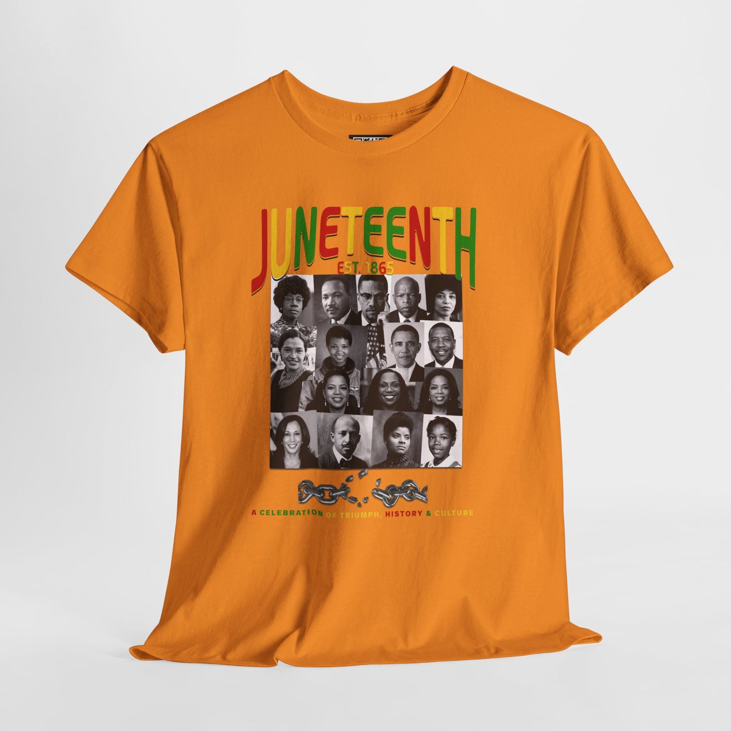 Juneteenth Celebration T-Shirt – "Let Freedom Ring" Colorful Chain Design (Est. 1865)