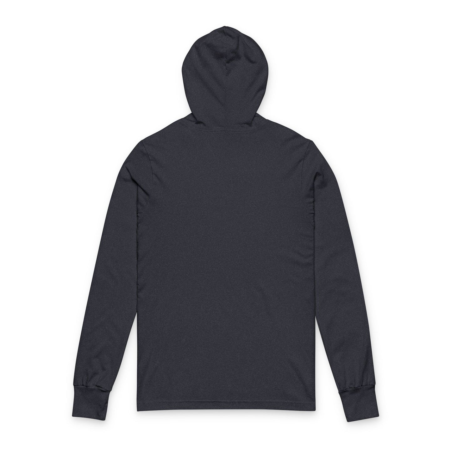 Motivational Sarcastic Hooded Long Sleeve Tee, Have the Day You Deserve Shirt, Perfect for Every Season, Encouragement or Sarcastic Apparel