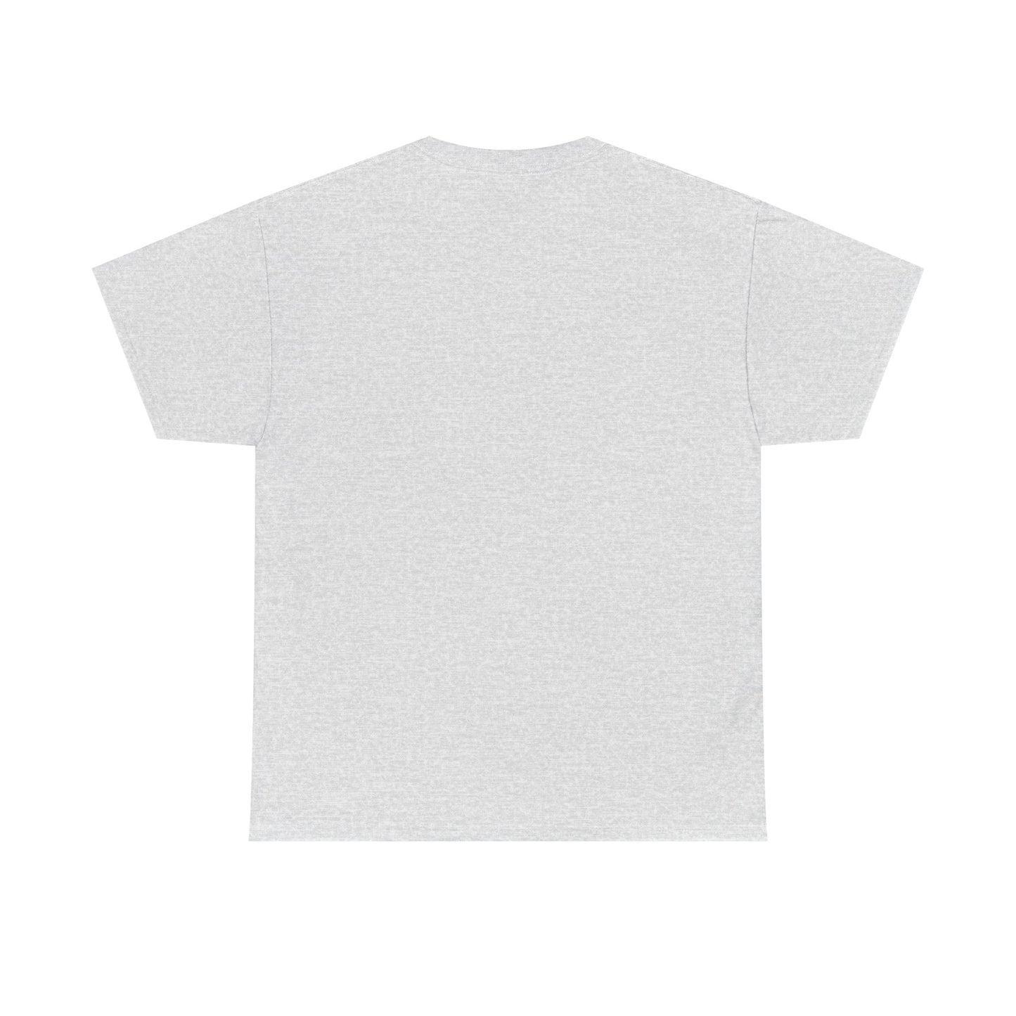 Religious T-Shirt, Inspirational Shirts, Christian Apparel, Jesus T-Shirt, Christian T-Shirt, Unisex Cotton Tee Express Delivery available