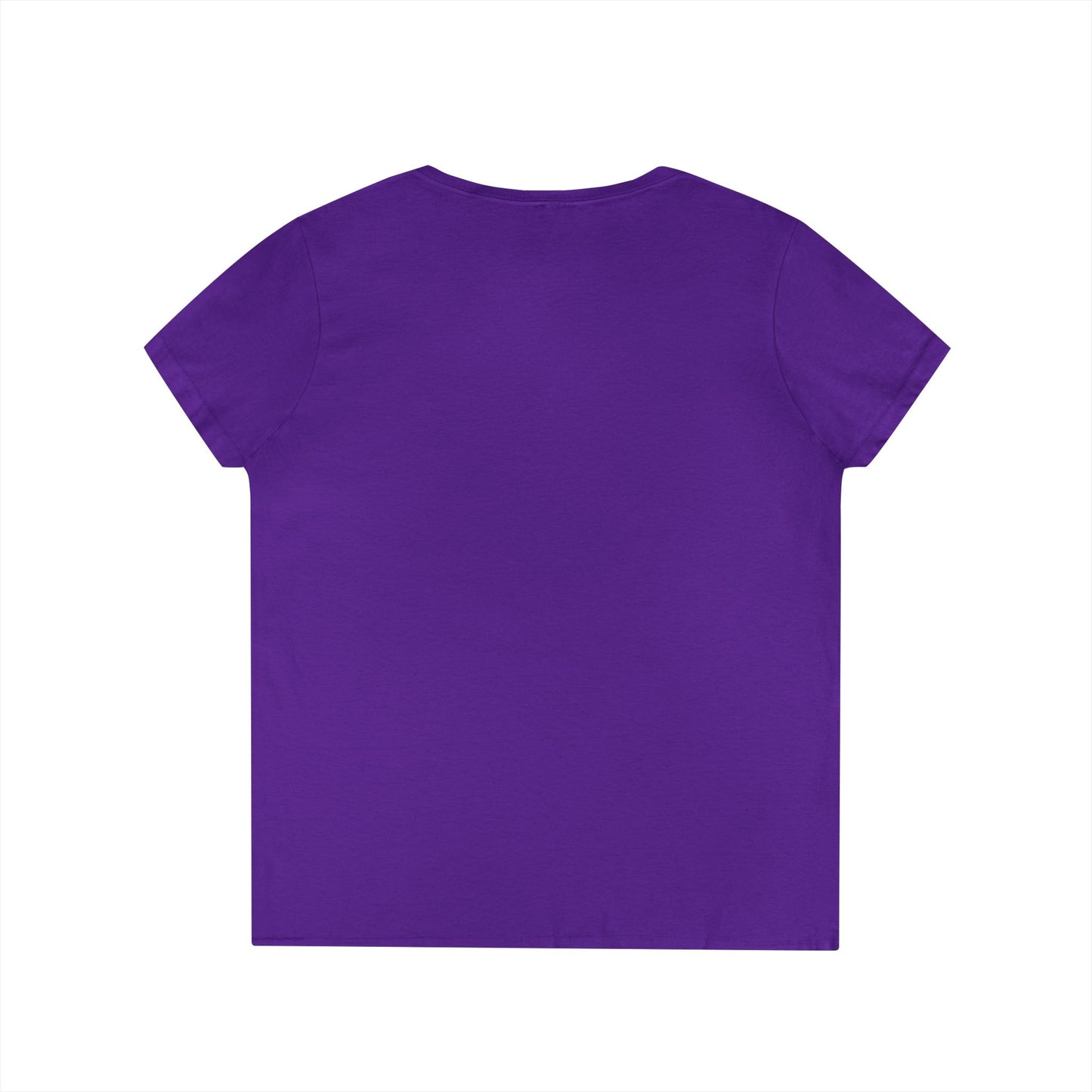Stepping Into Chapter 60 Blessed V-Neck Tee