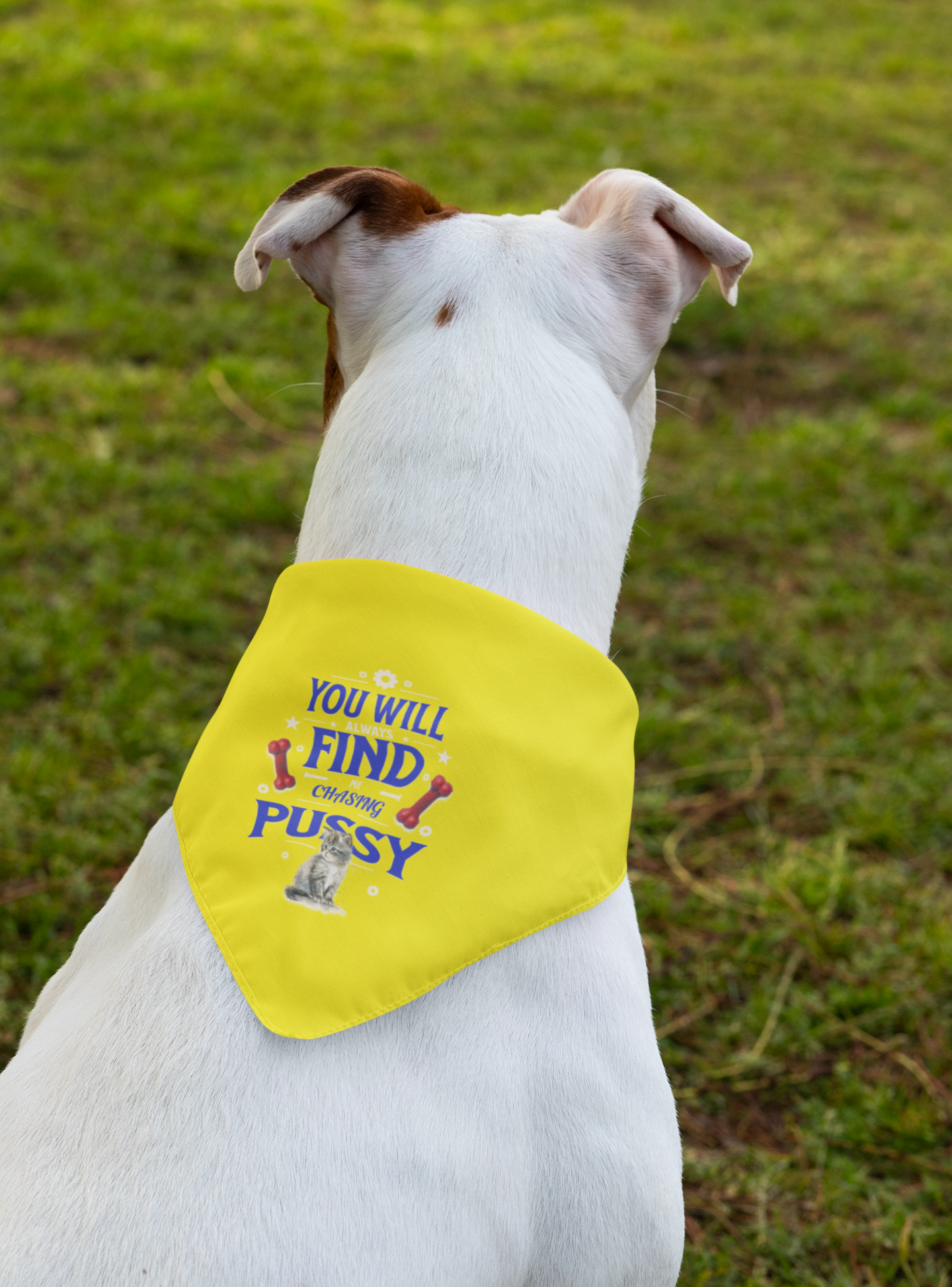Playful Clip-on Pet Bandana for Pets, Funny Dog Bandana, Funny Pet Costume, Gift for Pet Lovers, Cute Pet Wear, You Will Find Me Chasing