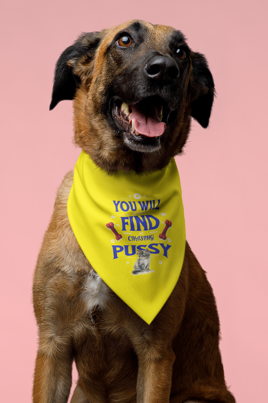 Playful Clip-on Pet Bandana for Pets, Funny Dog Bandana, Funny Pet Costume, Gift for Pet Lovers, Cute Pet Wear, You Will Find Me Chasing