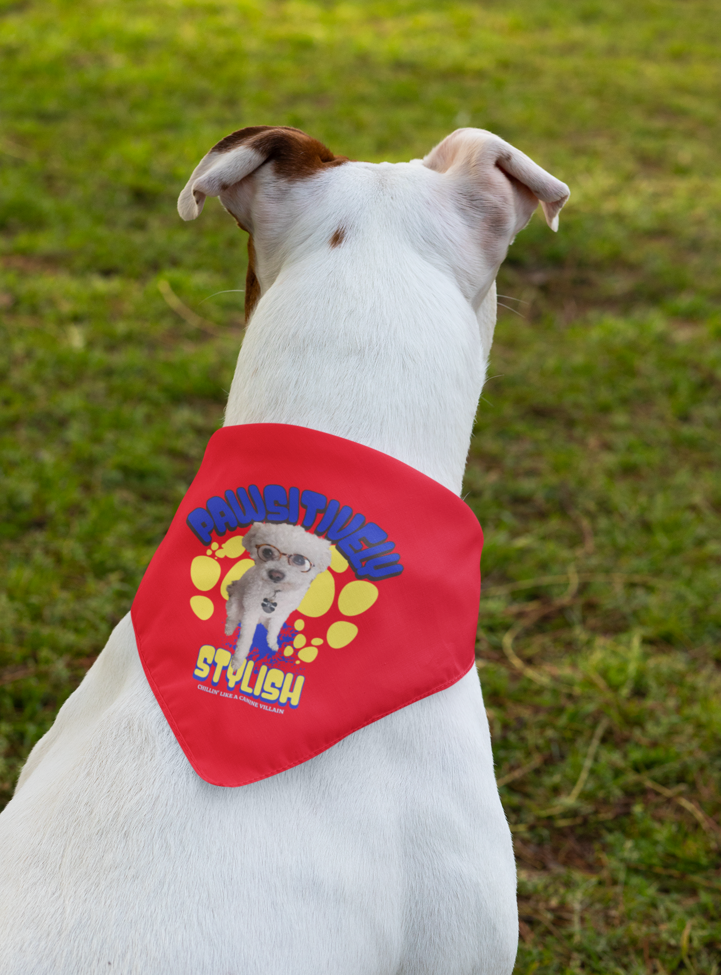 Stylish Personalized Pet Bandana for Dogs, Custom Cute Dog Accessory, Pet Clothing, Dog Birthday Gift, Pet Fashion, Everyday Wear