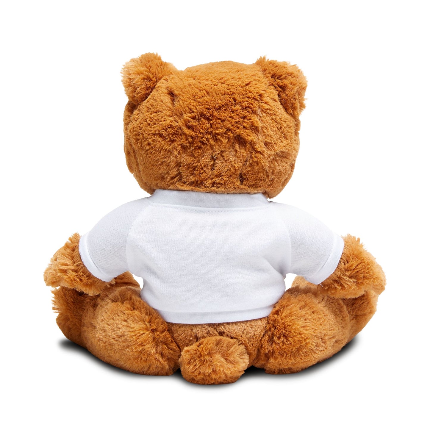 Now I Lay Me Down to Sleep Inspirational Teddy Bear with T-Shirt | Perfect Gift for Newborn and Toddlers, Perfect for Baby Showers and Birthdays