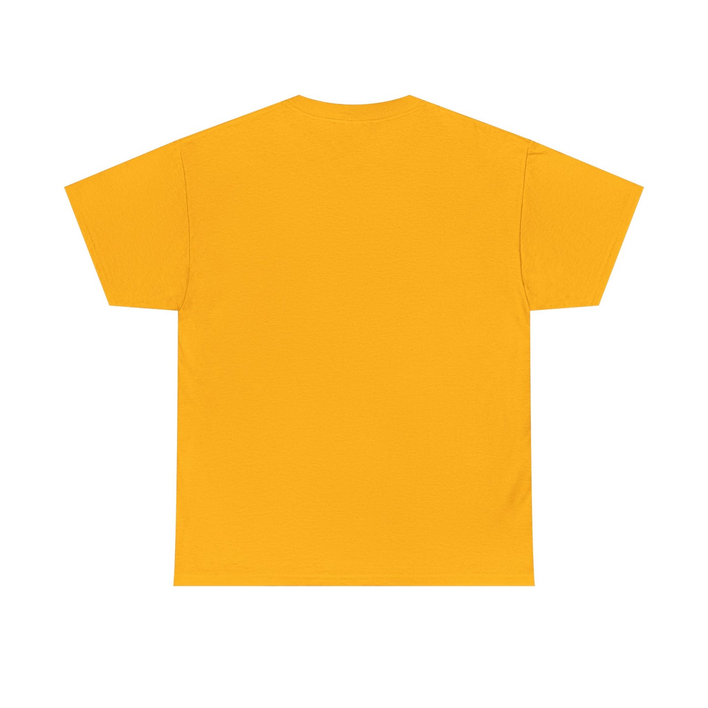 Black History Month Shirt, Melanin Shirts, Women's Right T-Shirt, Black Culture T-shirts, Black Pride Shirts, T-Shirts for Black Women & Men