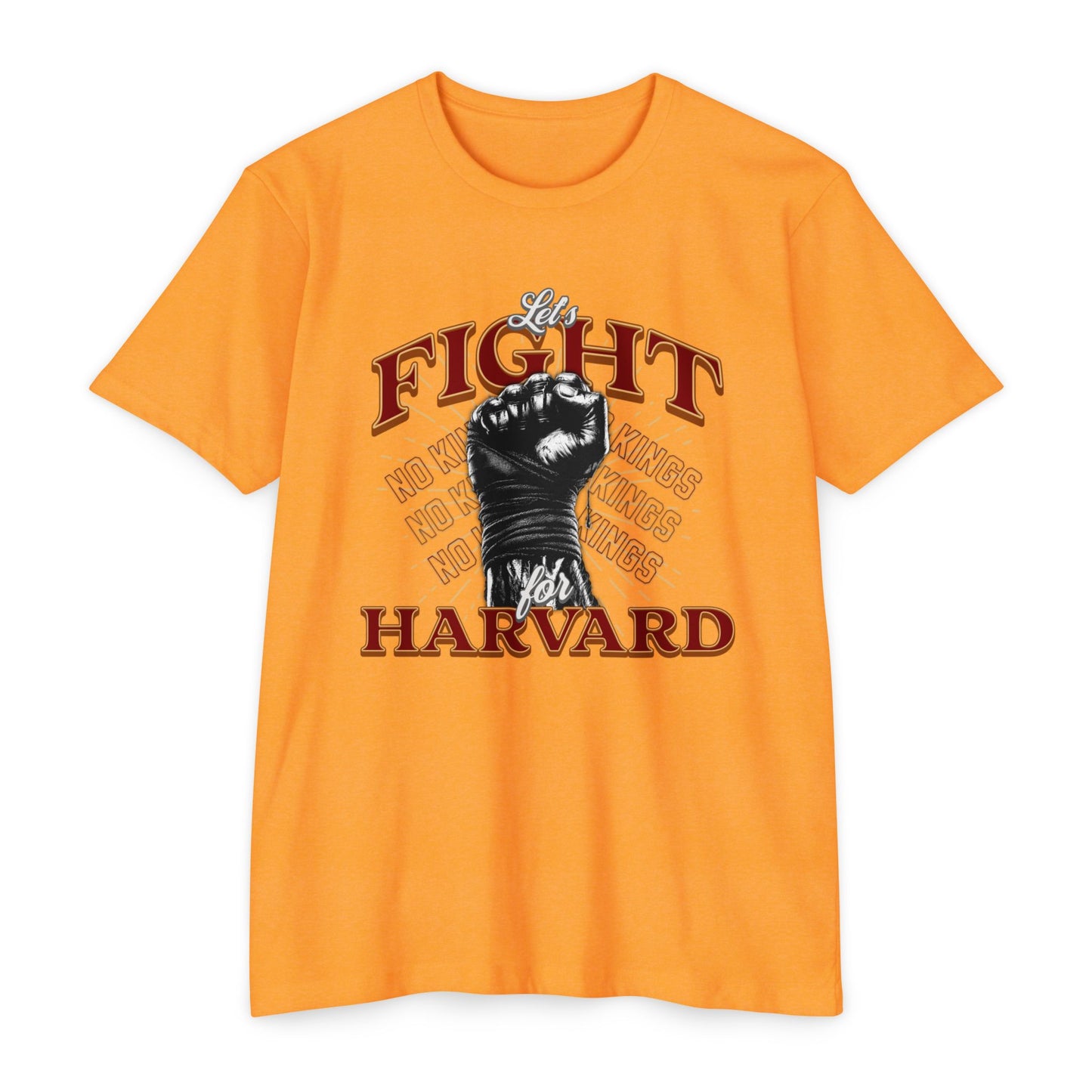 Empowering Fight for Hardvard University T-Shirt | Trump vs. Harvard T-Shirts, Spirit of Democracy, Standing with Hardvard Tee