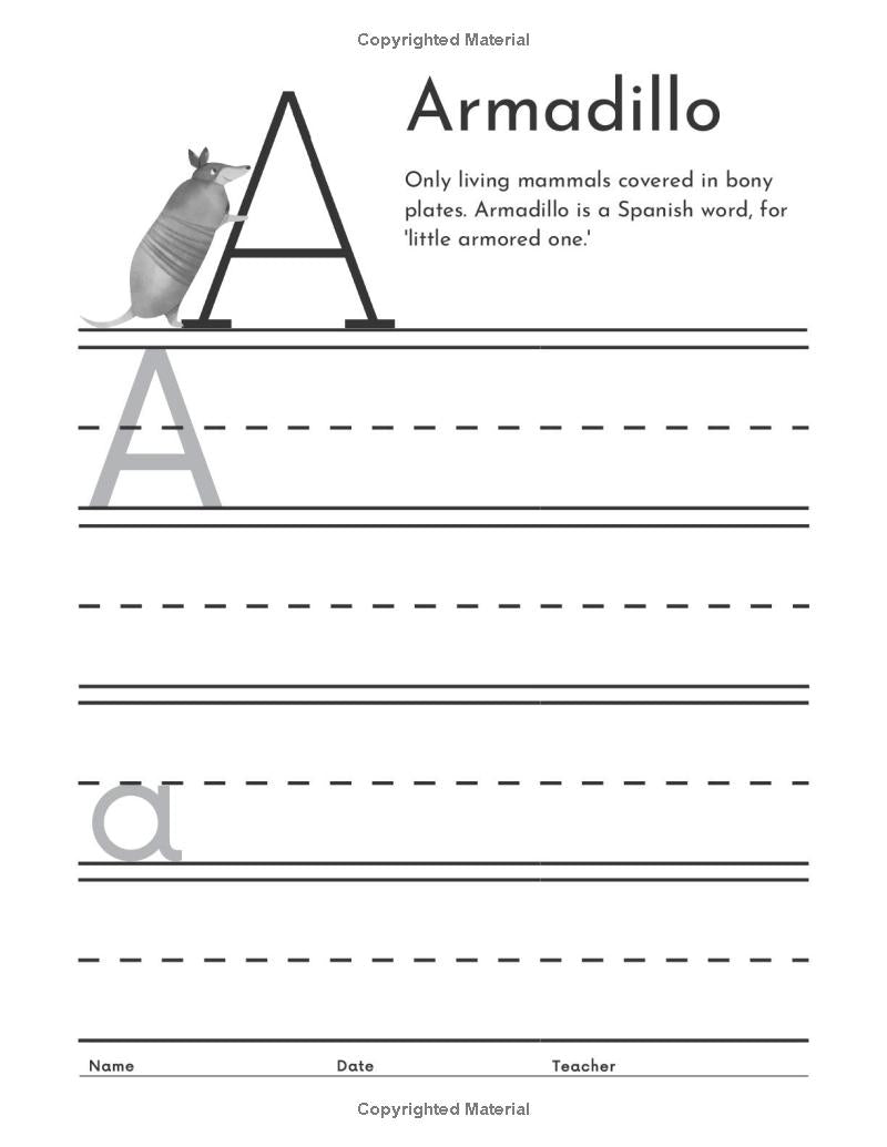 Primary Writing Composition for K-3rd Grades: Practice Writing, Tracing, Coloring, Letters and Numbers